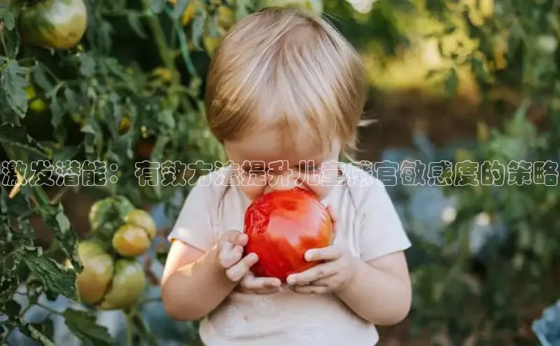 壹号娱乐